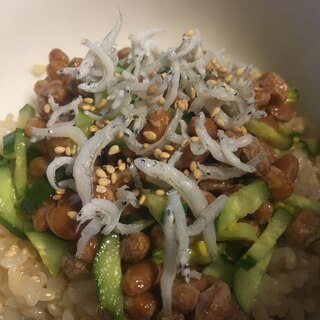 しらす、きゅうり、玄米納豆丼